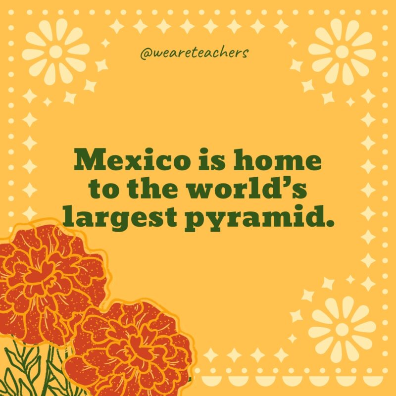 Mexico is home to the world’s largest pyramid. Mexico is home to the world’s largest pyramid.
