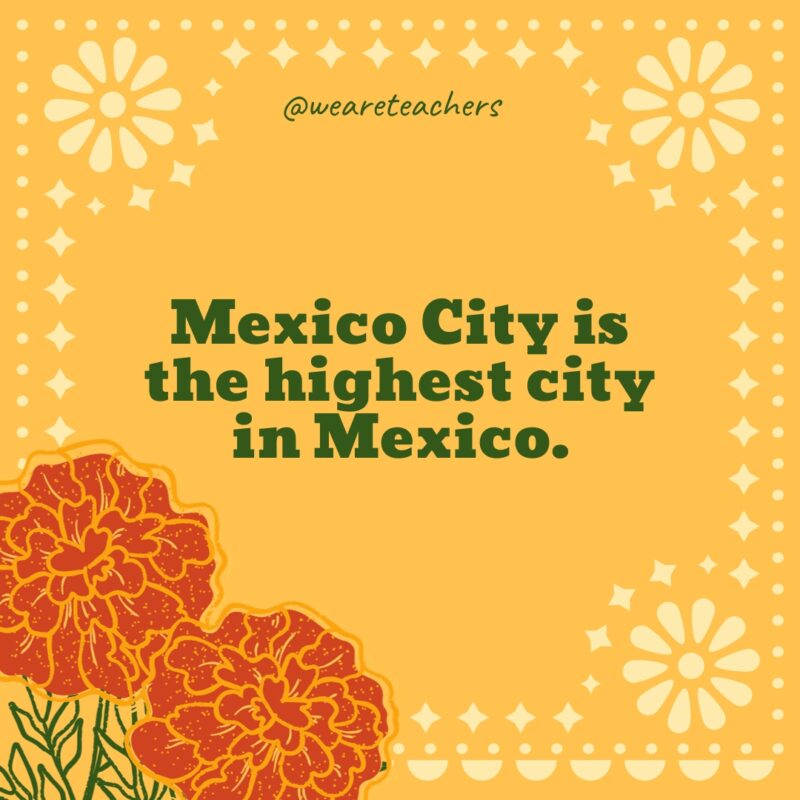 Mexico City is the highest city in Mexico. Mexico City is the highest city in Mexico.