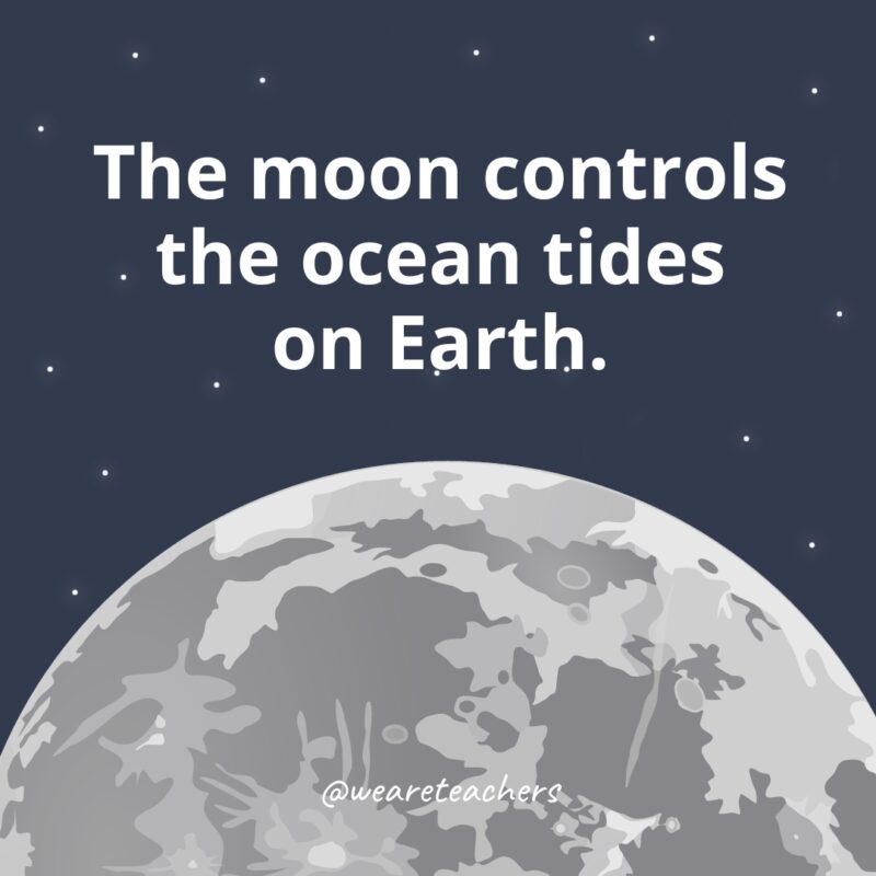 The moon controls the ocean tides on Earth. The moon controls the ocean tides on Earth.