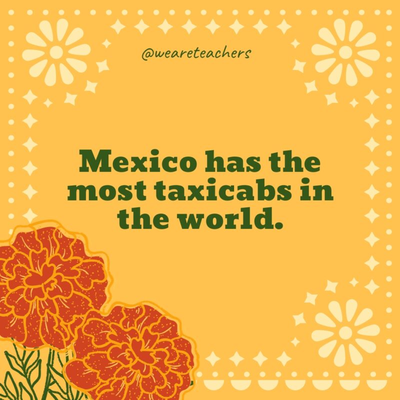 Mexico has the most taxicabs in the world. Mexico has the most taxicabs in the world.