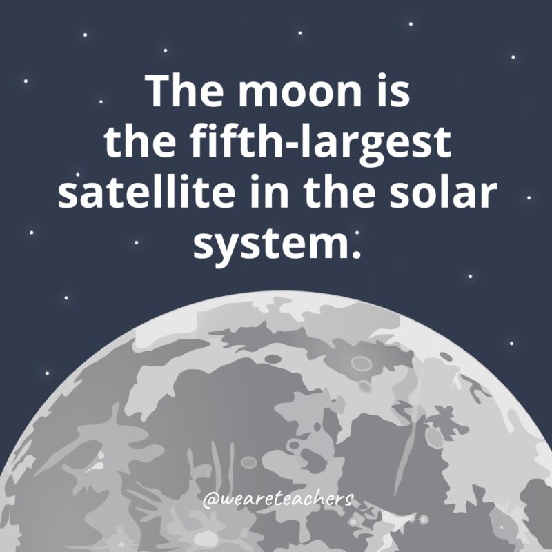 The moon is the fifth-largest satellite in the solar system. The moon is the fifth-largest satellite in the solar system as example of facts about the moon.