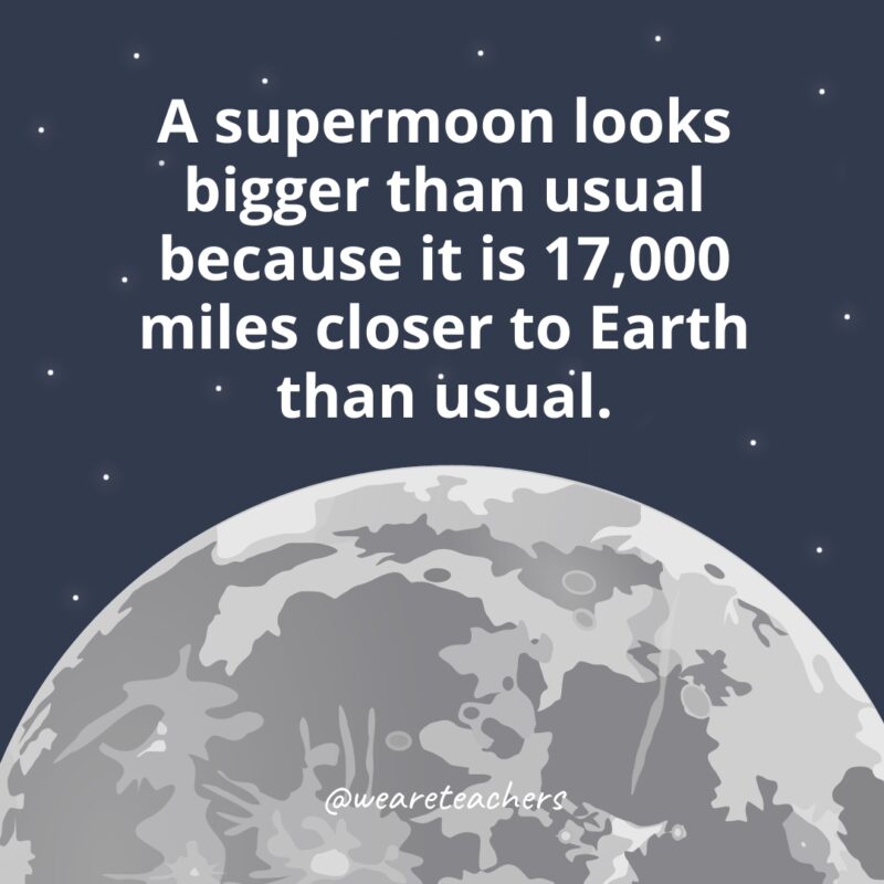 A supermoon looks bigger than usual because it is 17,000 miles closer to Earth than usual. A supermoon looks bigger than usual because it is 17,000 miles closer to Earth than usual as example of facts about the moon.
