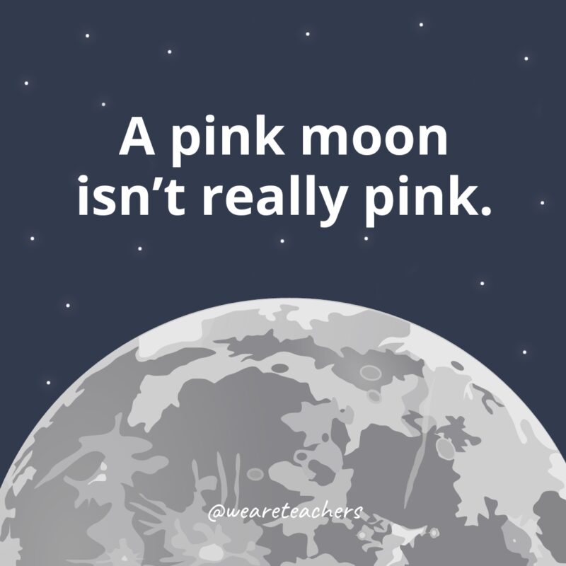 A pink moon isn’t really pink. A pink moon isn’t really pink.
