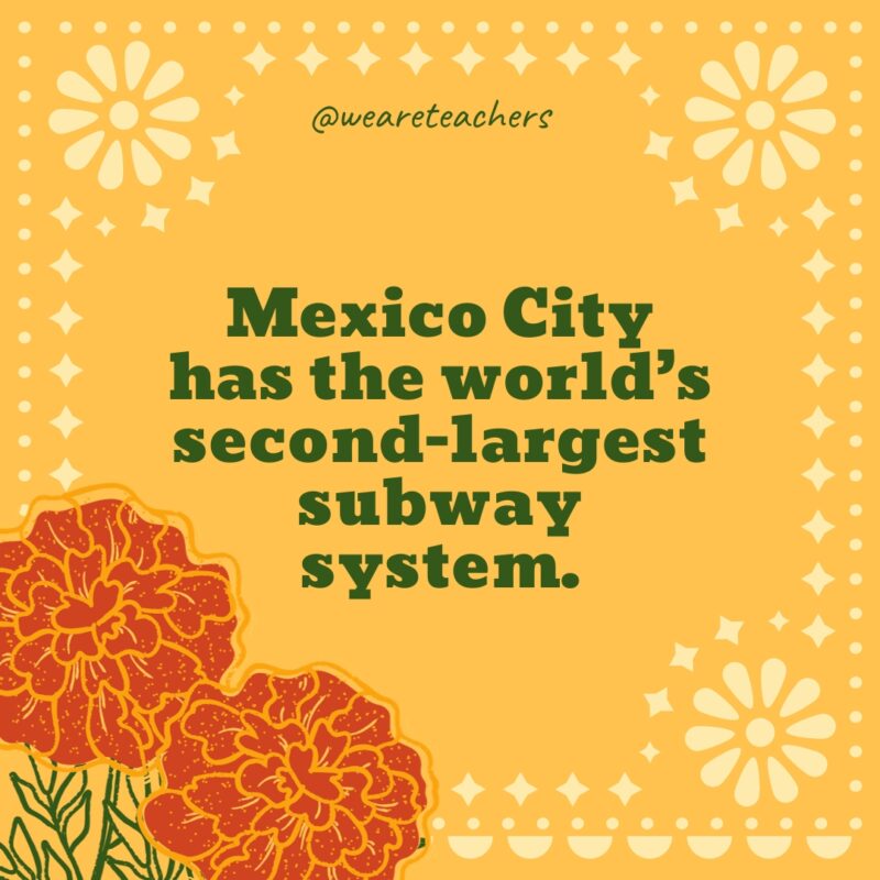 Mexico City has the world’s second-largest subway system. Mexico City has the world’s second-largest subway system.