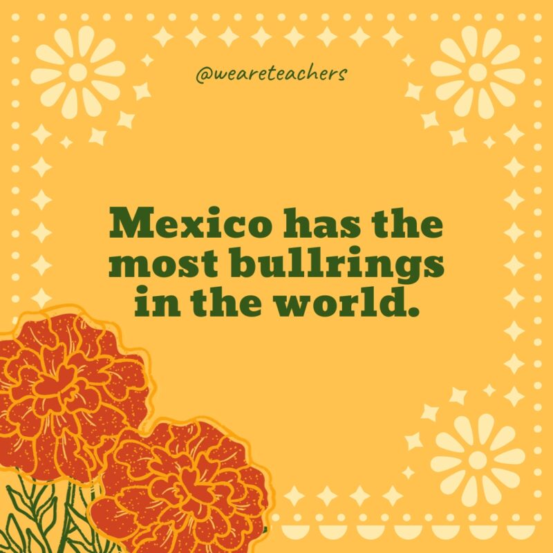 Mexico has the most bullrings in the world. Mexico has the most bullrings in the world.