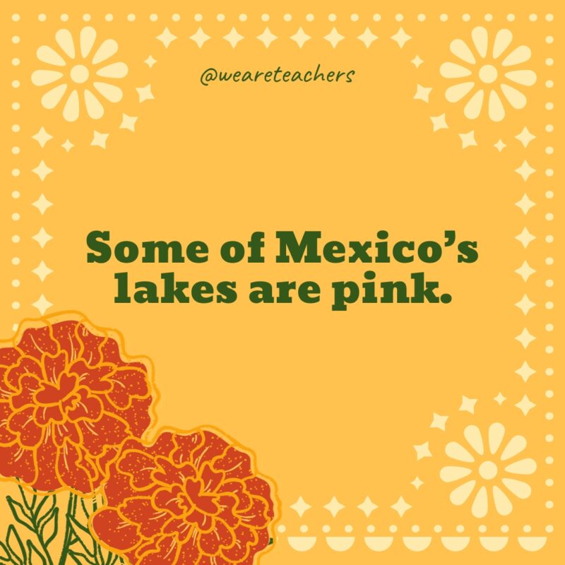 Some of Mexico’s lakes are pink. Some of Mexico's lakes are pink.