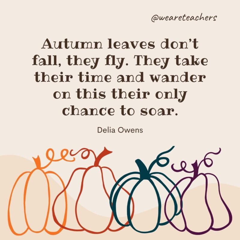Autumn leaves don’t fall, they fly. They take their time and wander on this their only chance to soar. —Delia Owens Autumn leaves don’t fall, they fly. They take their time and wander on this their only chance to soar. —Delia Owens