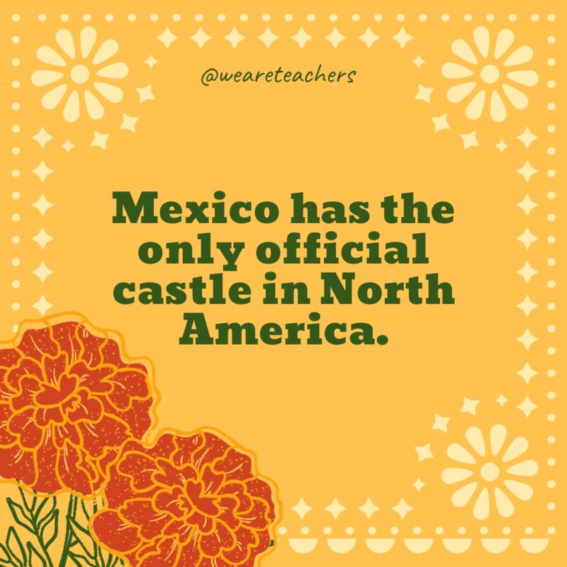 Mexico has the only official castle in North America. Mexico has the only official castle in North America.