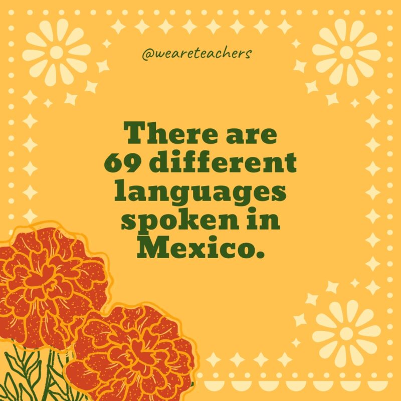  There are 69 different languages spoken in Mexico.