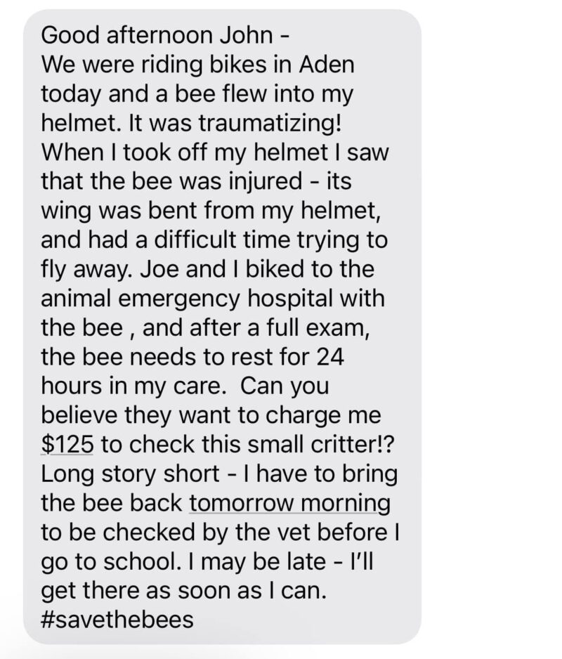 These Teachers Pranked Their Principal By Calling Out With the Most Hilarious Excuses
