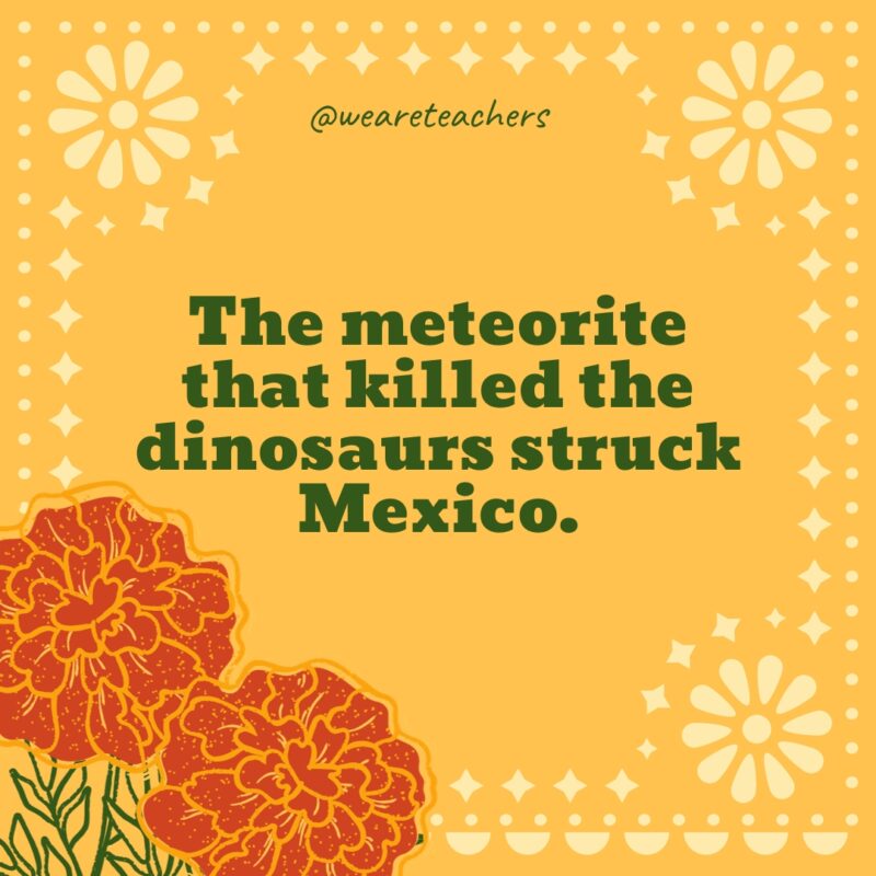 The meteorite that killed the dinosaurs struck Mexico. The meteorite that killed the dinosaurs struck Mexico.
