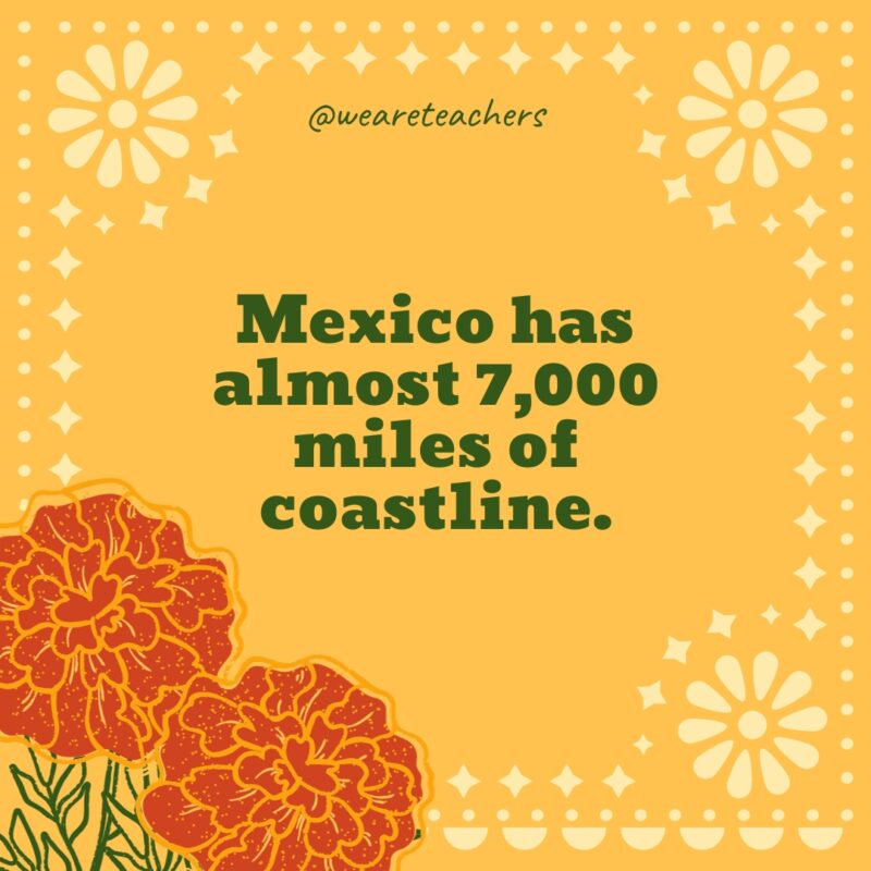 Mexico has almost 7,000 miles of coastline. Mexico has almost 7,000 miles of coastline.