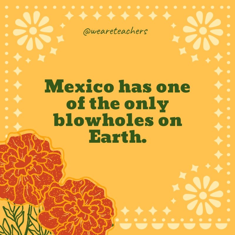 Mexico has one of the only blowholes on Earth. Mexico has one of the only blowholes on Earth.