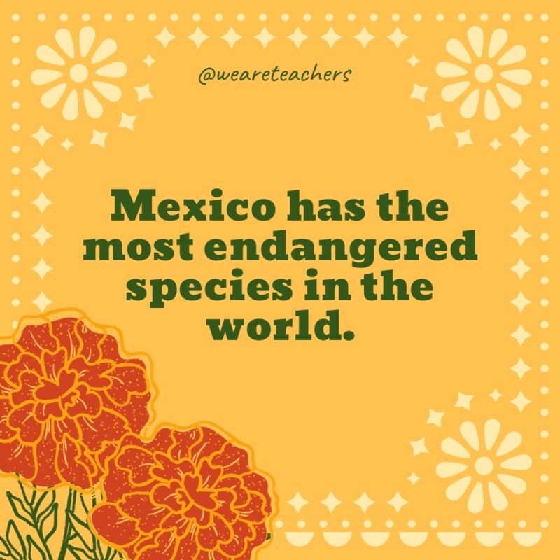 Mexico has the most endangered species in the world.