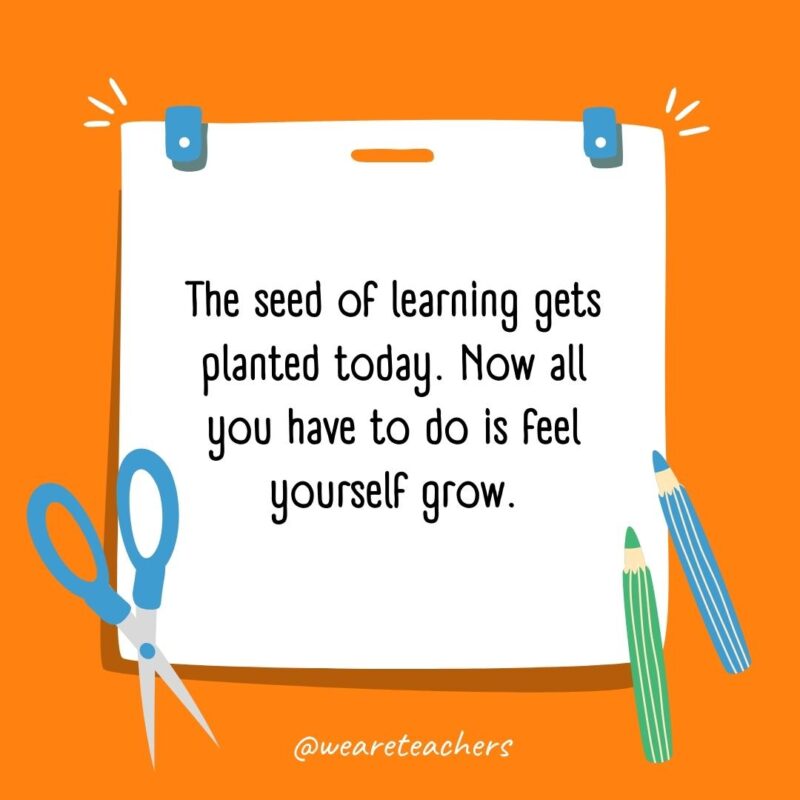 The seed of learning gets planted today. Now all you have to do is feel yourself grow. The seed of learning gets planted today. Now all you have to do is feel yourself grow.