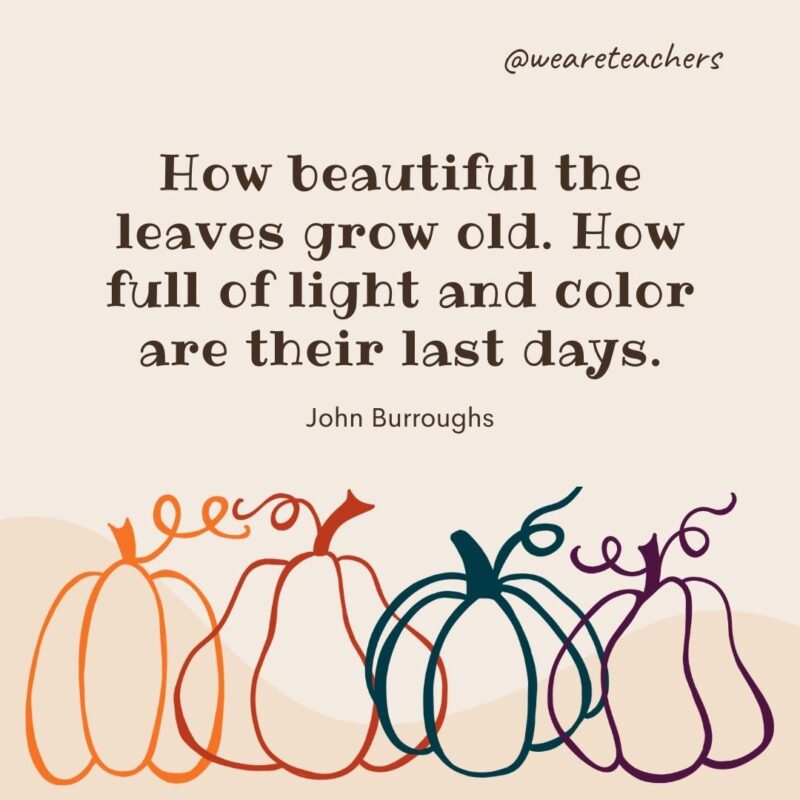 How beautiful the leaves grow old. How full of light and color are their last days. —John Burroughs How beautiful the leaves grow old. How full of light and color are their last days. —John Burroughs- fall quotes