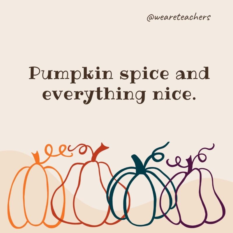 Pumpkin spice and everything nice. Pumpkin spice and everything nice.