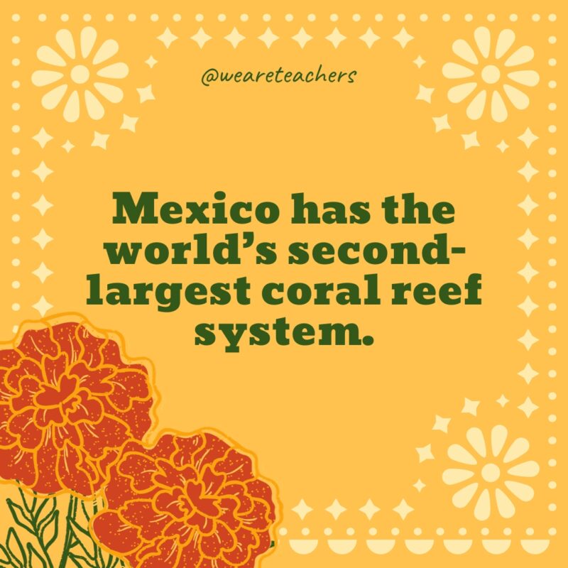 Mexico has the world’s second-largest coral reef system. Mexico has the world’s second-largest coral reef system.