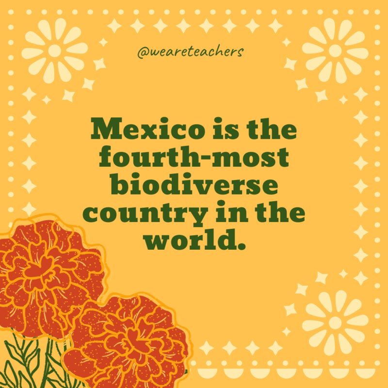 Mexico is the fourth-most biodiverse country in the world. Mexico is the fourth-most biodiverse country in the world.