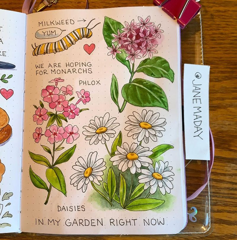 Bullet Journal Ideas: Art A page in a bullet journal with drawings of flowers and a monarch caterpillar