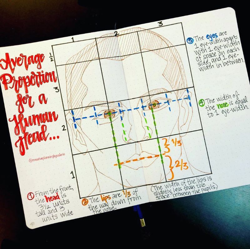 Bullet Journal Ideas: Class Notes Bullet journal pages with notes on the correct proportions for drawing a human face