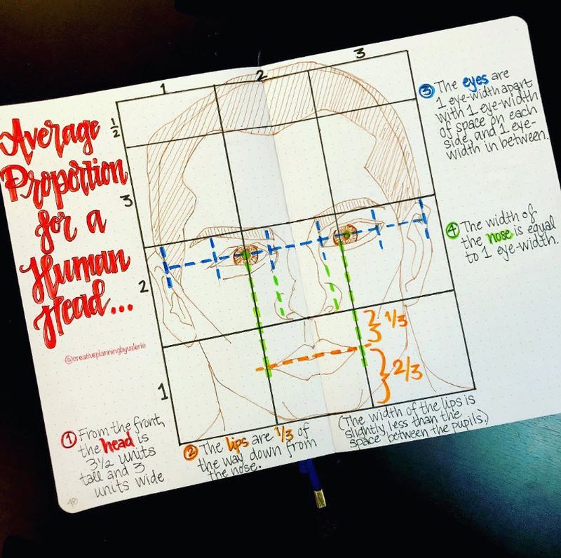 Bullet journal pages with notes on the correct proportions for drawing a human face