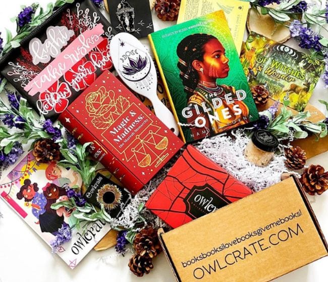 Educational Subscription Boxes OwlCrate OwlCrate book subscription box with various reading related items