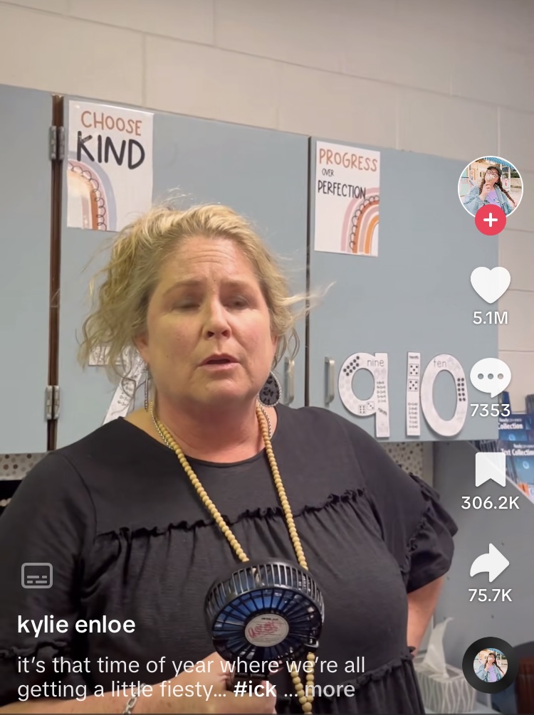 Screenshot of teacher in TIkTok about teacher icks