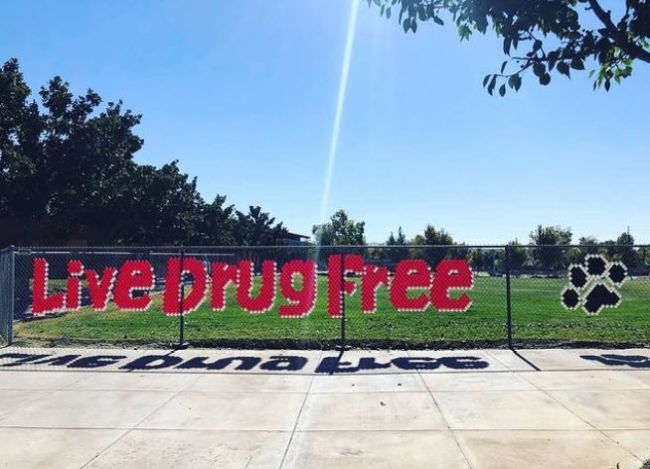 Red Ribbon Week Ideas: Fence Decor Live Drug Free spelled out on a chain link fence using plastic cups