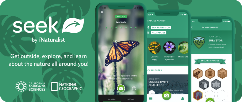 Inaturalist seek app- summer activities for kids