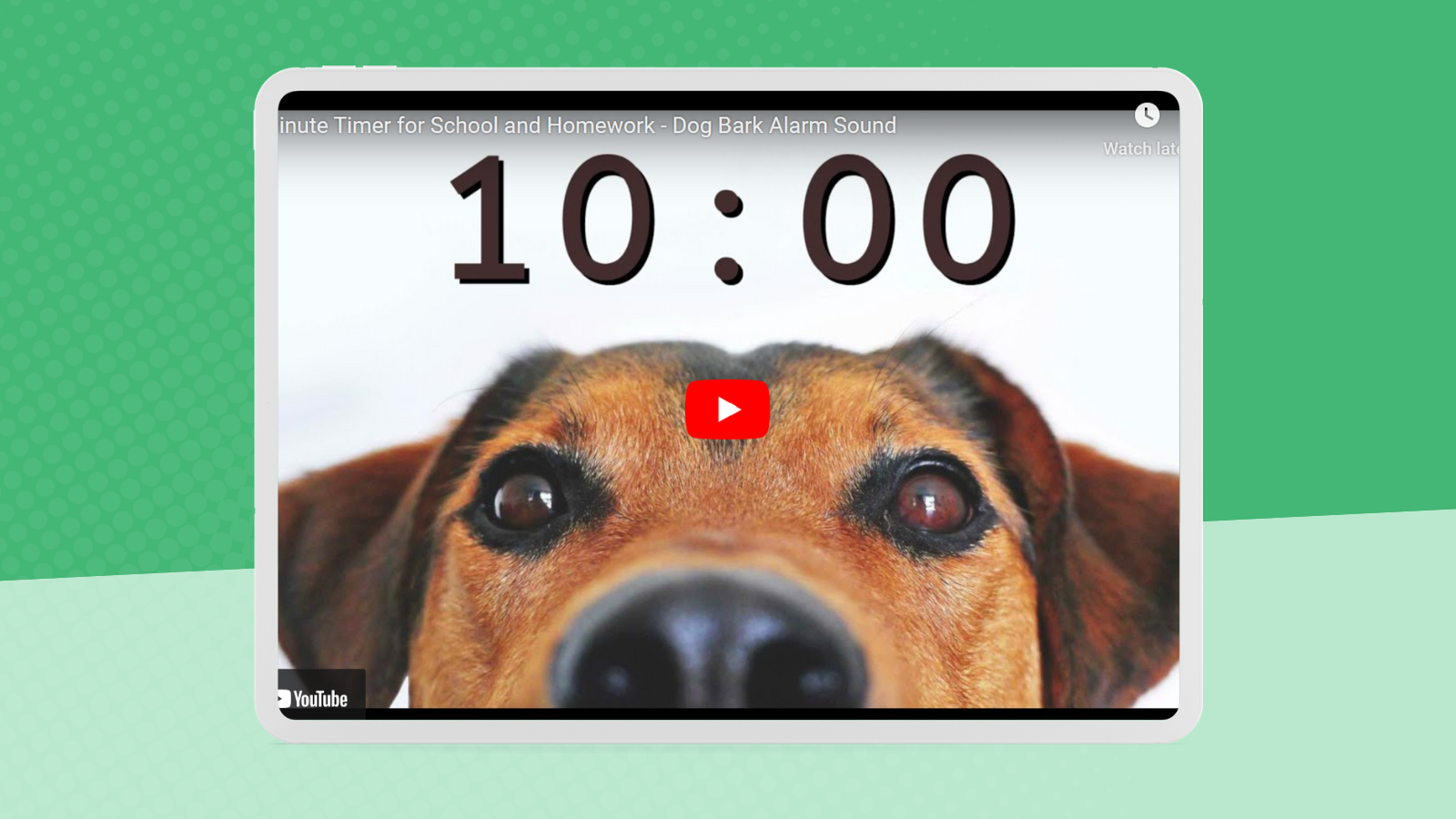 Online dog timer with green background.