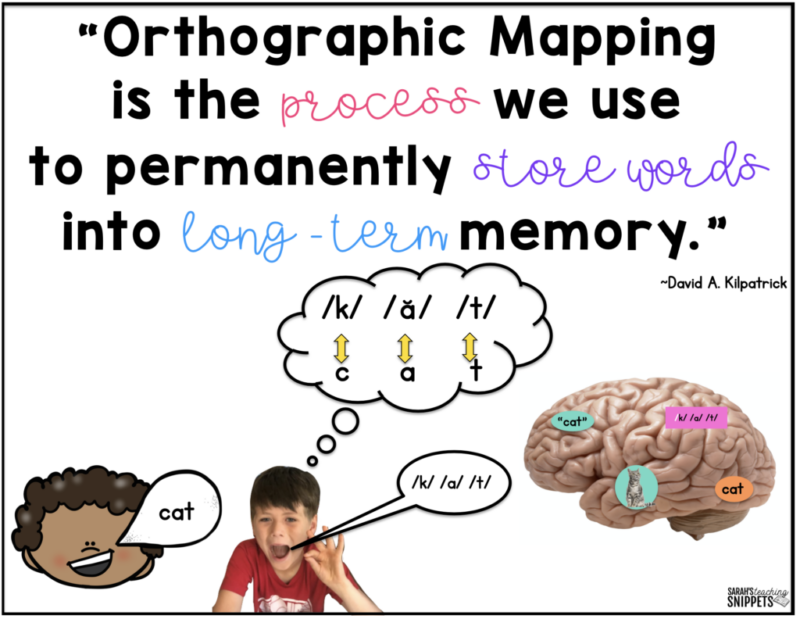 Orthographic Mapping Definition Infographic showing the spoken word cat, child saying the three sounds in cat, and an image of the brain with the word and picture of a cat in it to define orthographic mapping