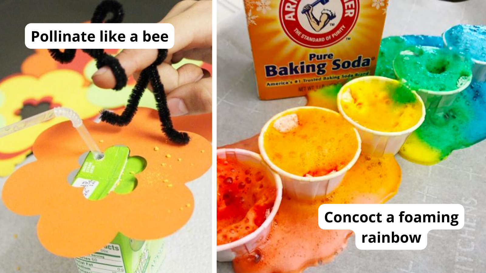 35 Cool Second Grade Science Experiments For The Classroom and Beyond