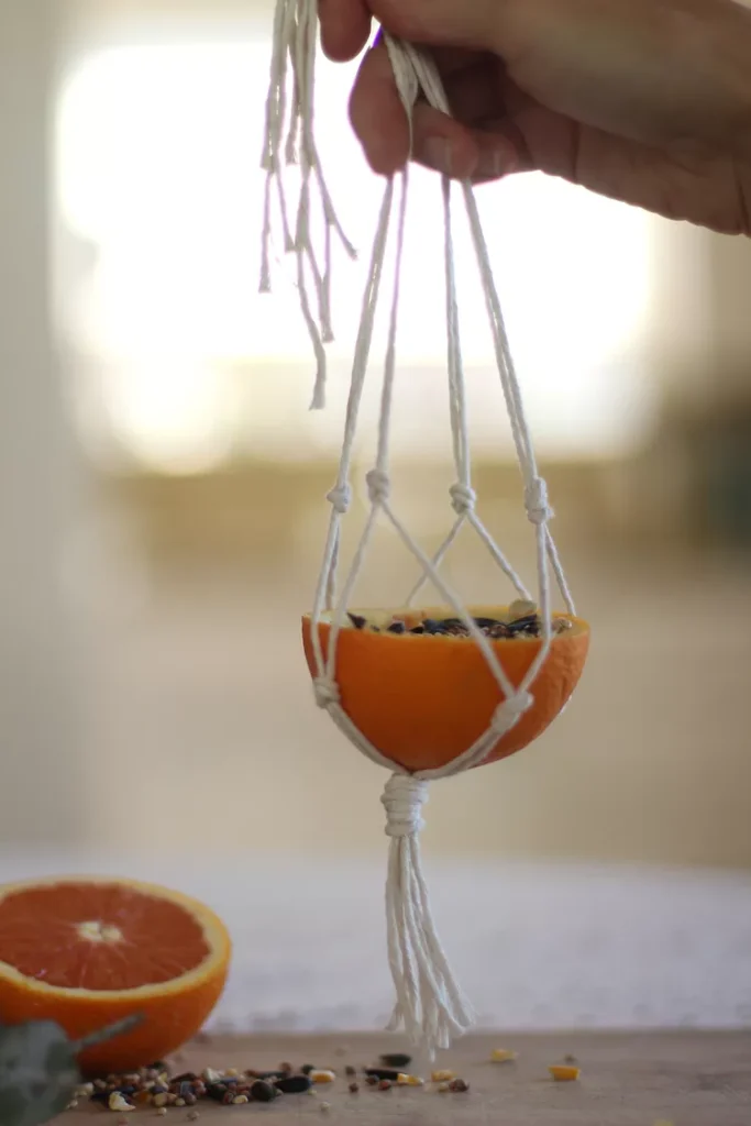 Photo of bird feeder made with orange half